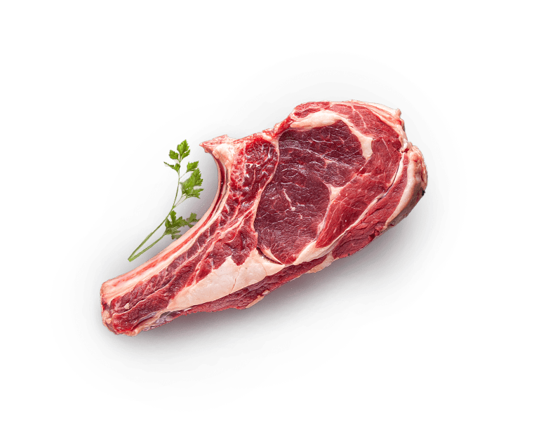 import export meat
